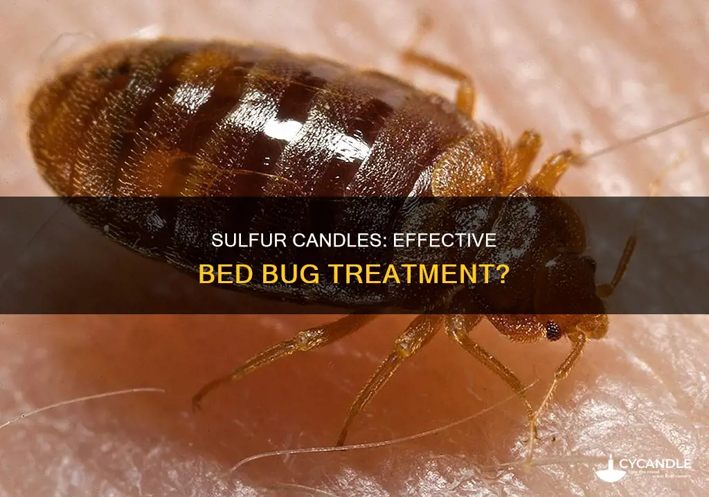 do sulfur candles kill bed bugs
