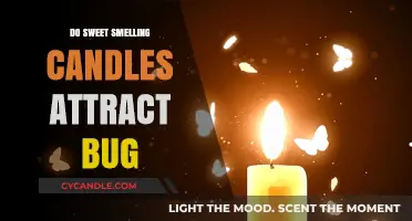 Sweet Candles: Bug Magnet or Myth?