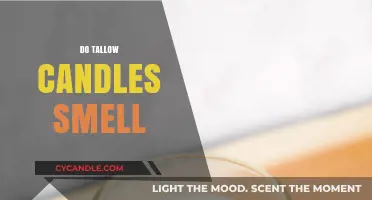 Tallow Candles: What's the Scent?