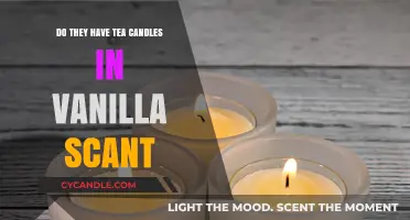 Vanilla Scented Tea Candles: A Relaxing Aromatic Experience