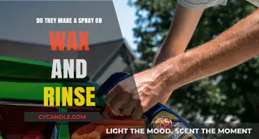 Spray-On Wax and Rinse: The Ultimate Car Detailing Solution?