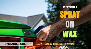 Spray-On Wax: The Ultimate Car Care Convenience?