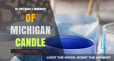 University of Michigan Scented Candle: Fact or Fan Fiction?