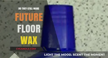 Is Future Floor Wax Still Available? Exploring Its Current Production Status
