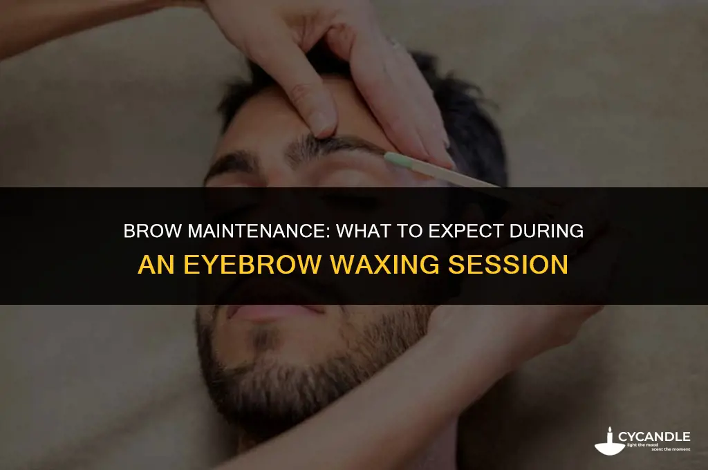 do they trim your eyebrows when you get them waxed