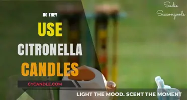 Citronella Candles: Effective Mosquito Repellent or Just a Summer Myth?