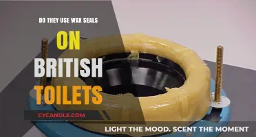 Unveiling the Truth: Wax Seals and British Toilets