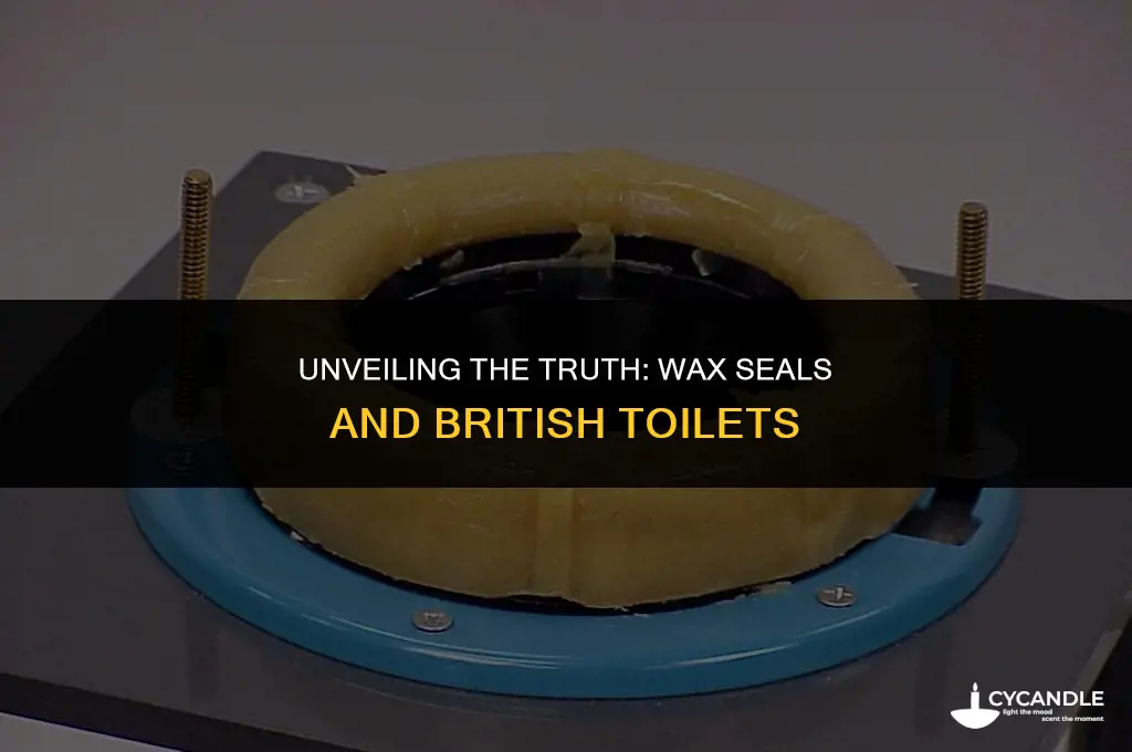 do they use wax seals on british toilets
