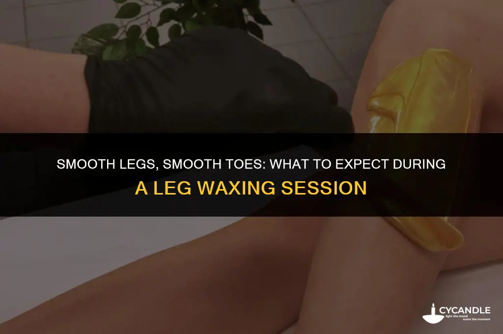 do they wax toes when getting your legs waxed