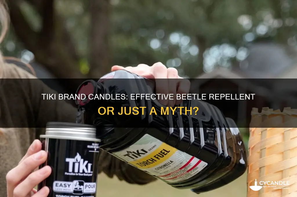 do tiki brand candles work on beetles