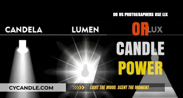 Lumen vs. Candle Power: What Do US Photographers Prefer?
