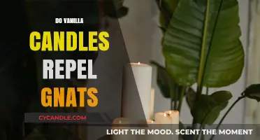 Vanilla Candles: Natural Gnat Repellent for Your Home