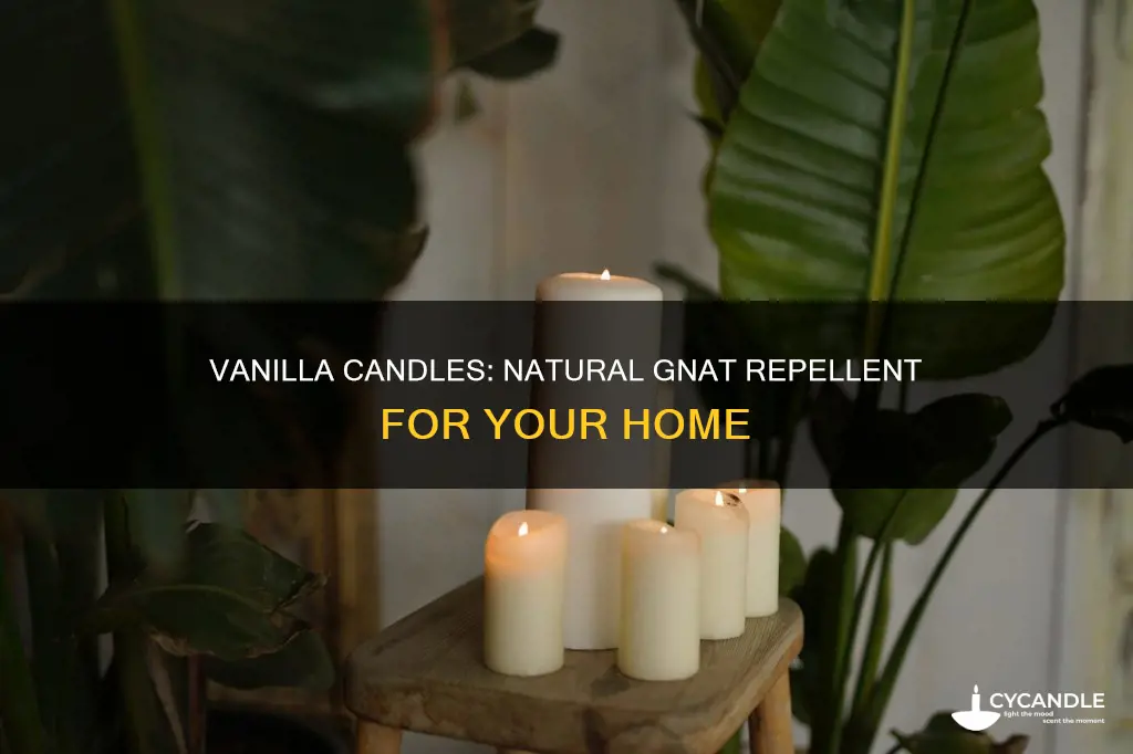 do vanilla candles repel gnats