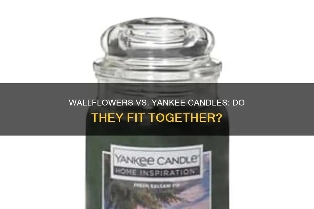 do wallflowers fit yankee candle