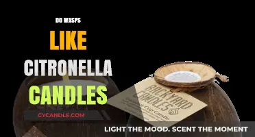 Citronella Candles: Effective Wasp Repellent or Just a Myth?