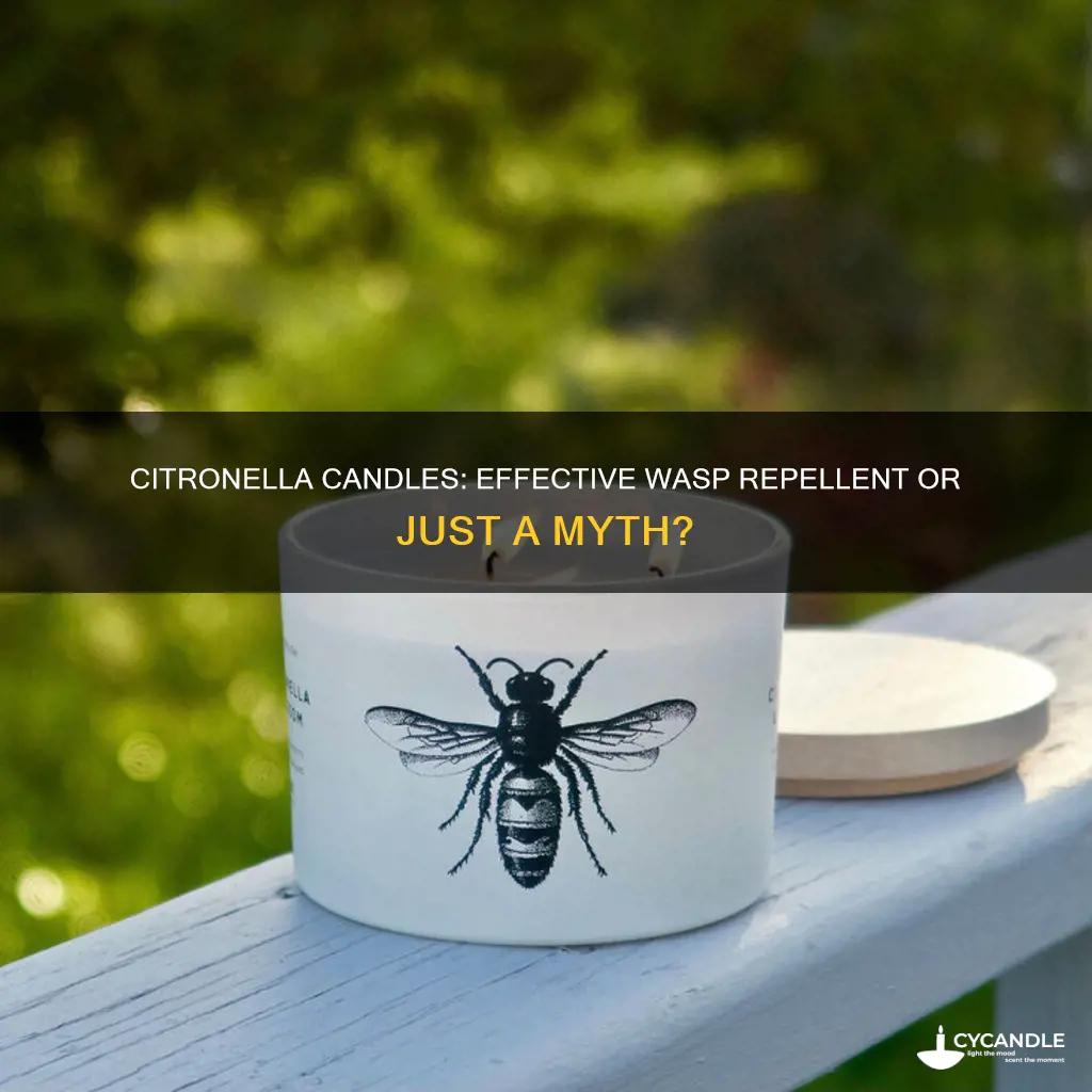 do wasps like citronella candles