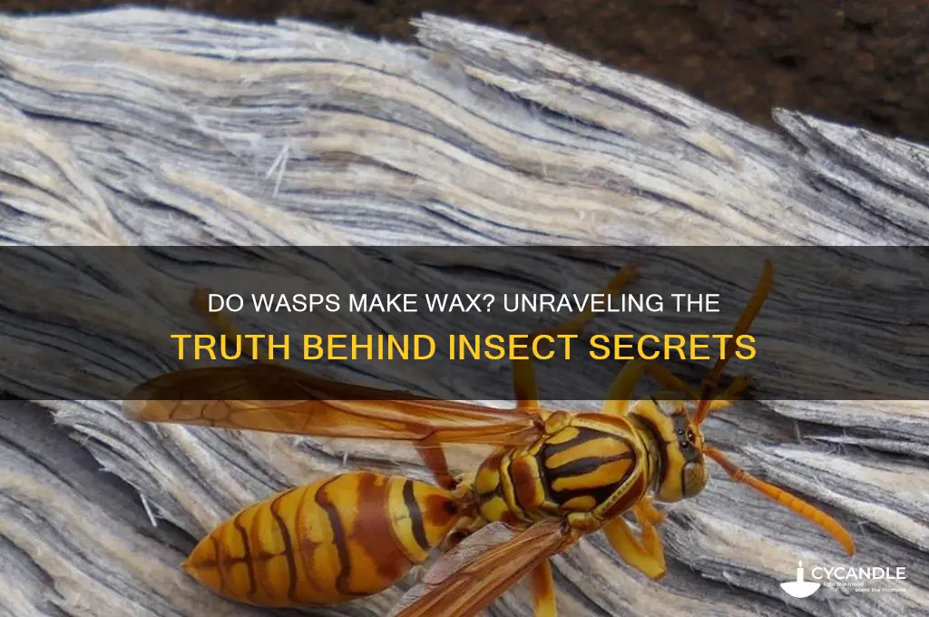 do wasps make wax