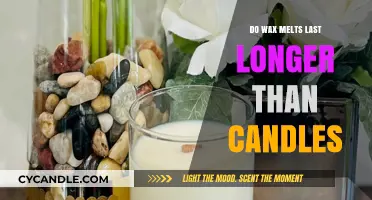 Wax Melts vs. Candles: Which Burns Longer and Why?