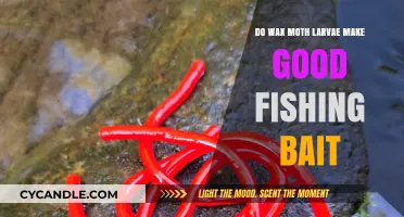 Wax Moth Larvae as Fishing Bait: Effective or Overhyped?