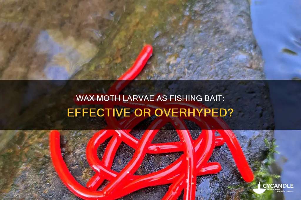 do wax moth larvae make good fishing bait