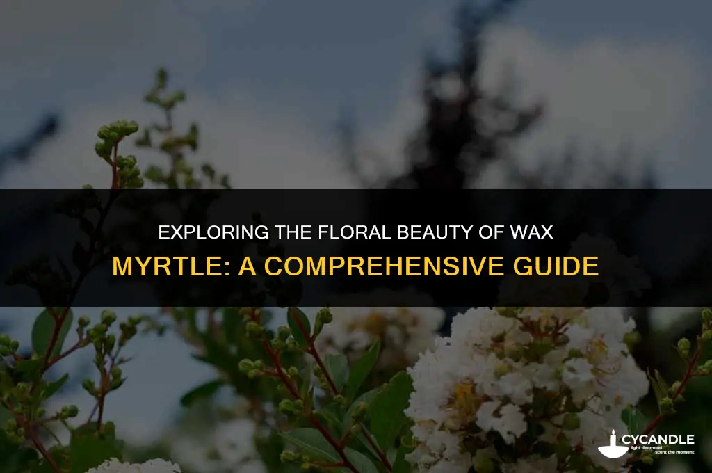 do wax myrtle gets flowers