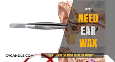 The Surprising Importance of Earwax: Do We Really Need It?