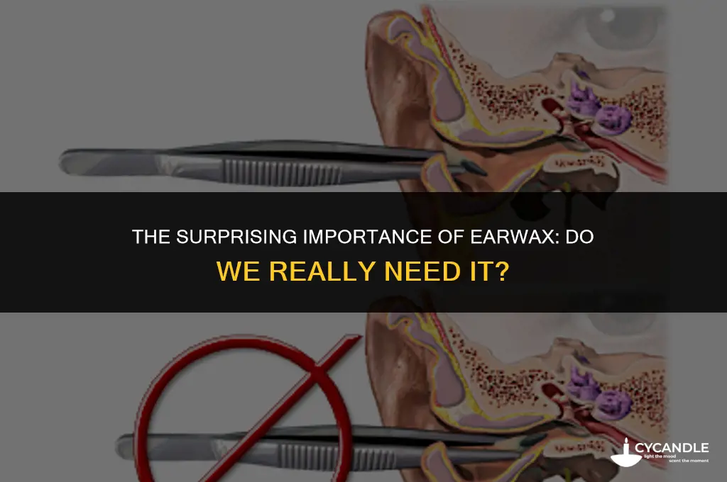 do we need ear wax