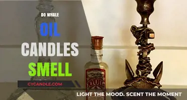 Whale Oil Candles: Do They Smell Good?