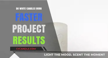 White Candles Burn Faster: Project Results and Insights Revealed
