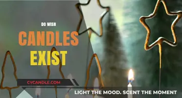 The Magical World of Do Wish Candles