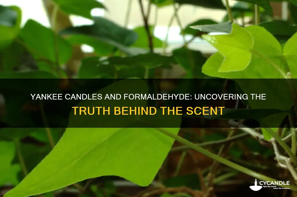 do yankee candles contain formaldehyde