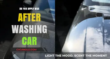 Waxing Wonders: The Ultimate Guide to Post-Wash Car Care