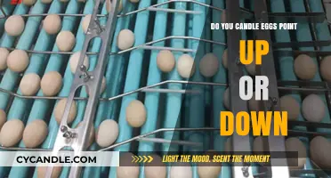 The Best Way to Store Eggs in the Fridge