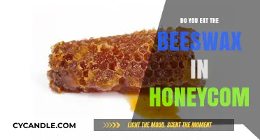 Can You Eat Beeswax in Honeycomb? Facts and Safety Tips