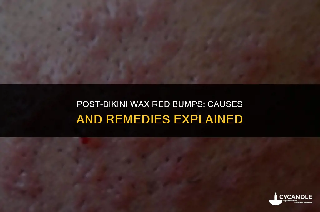 do you get red bumps after bikini wax