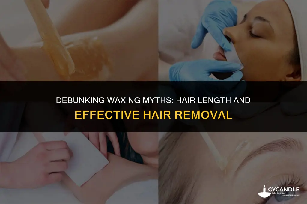 do you have to be hairy to get waxed