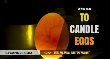 The Art of Candling Eggs: Is It Necessary?