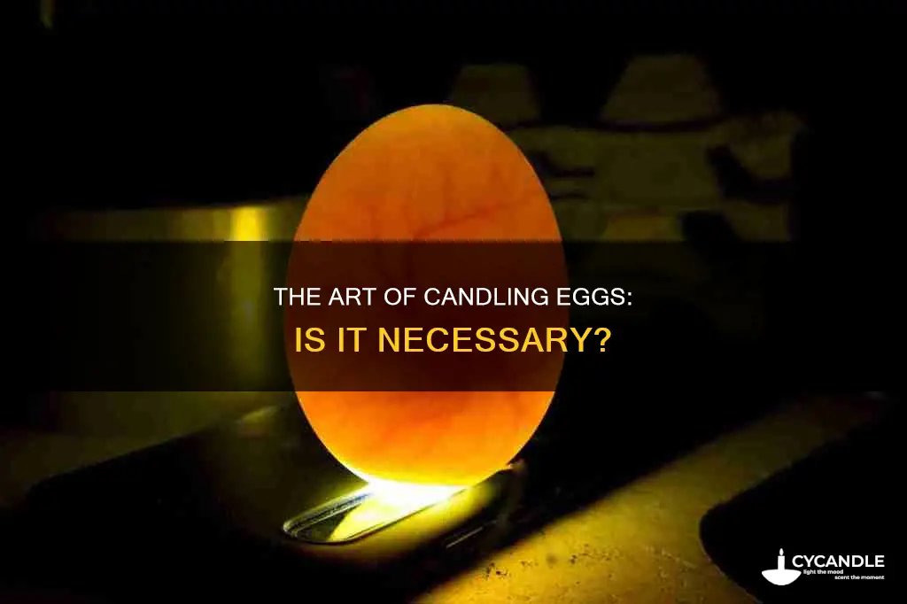 do you have to candle eggs