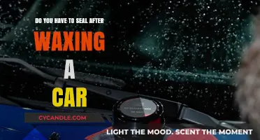 The Essential Guide to Post-Wax Car Care: Sealant or Not?