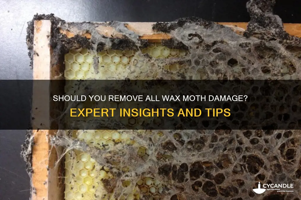 do you need to remove all wax moth damage