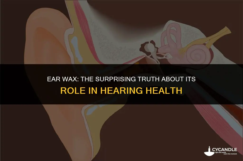 do you need wax in your ear to hear