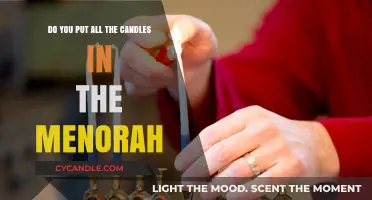Lighting the Menorah: Do All Candles Belong Each Night?