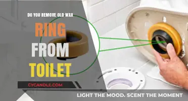 How to Properly Remove an Old Wax Ring from Your Toilet