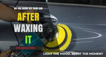 Shine and Pride: The Art of Car Waxing Revealed