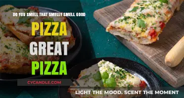 Smelling Good Pizza: The Power of Aromas