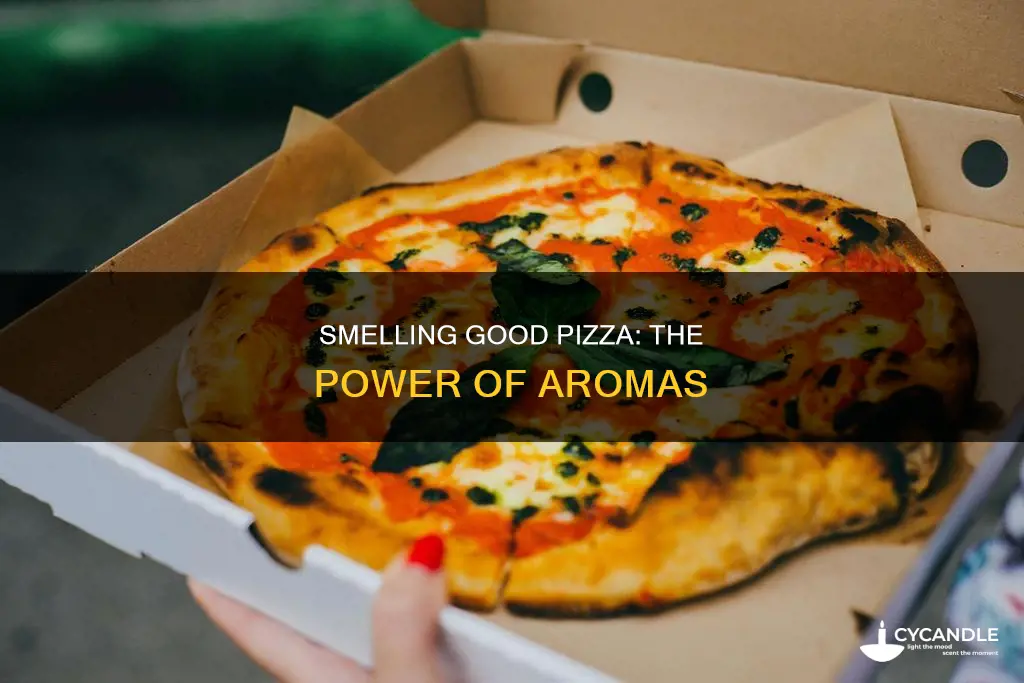 do you smell that smelly smell good pizza great pizza