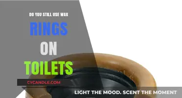 The Wax Ring Debate: A Plumber's Perspective on Toilet Seals