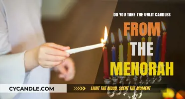 Unlit Menorah Candles: To Take or Not?