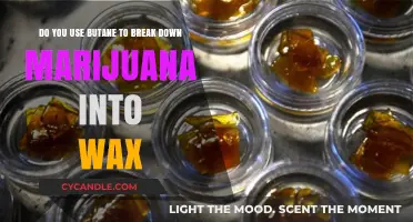Exploring Butane's Role in Marijuana Wax Extraction: A Comprehensive Guide