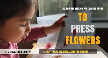 Preserving Petals: Wax vs. Parchment Paper in Flower Pressing